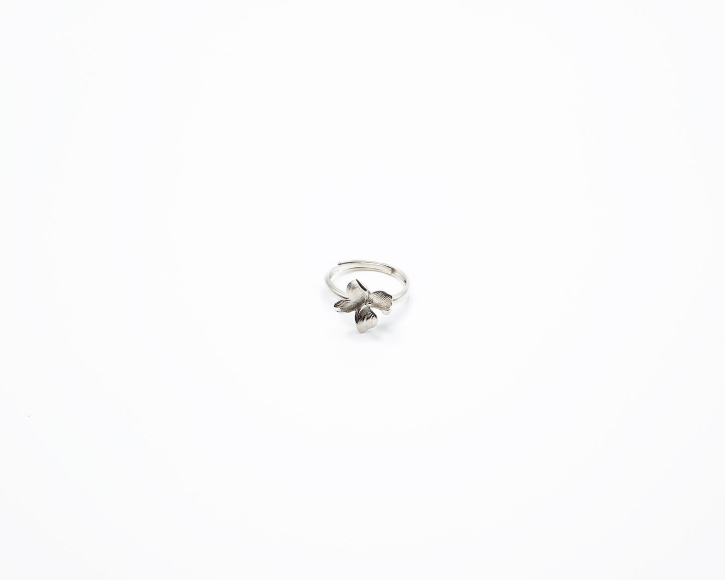 Caroline Ring