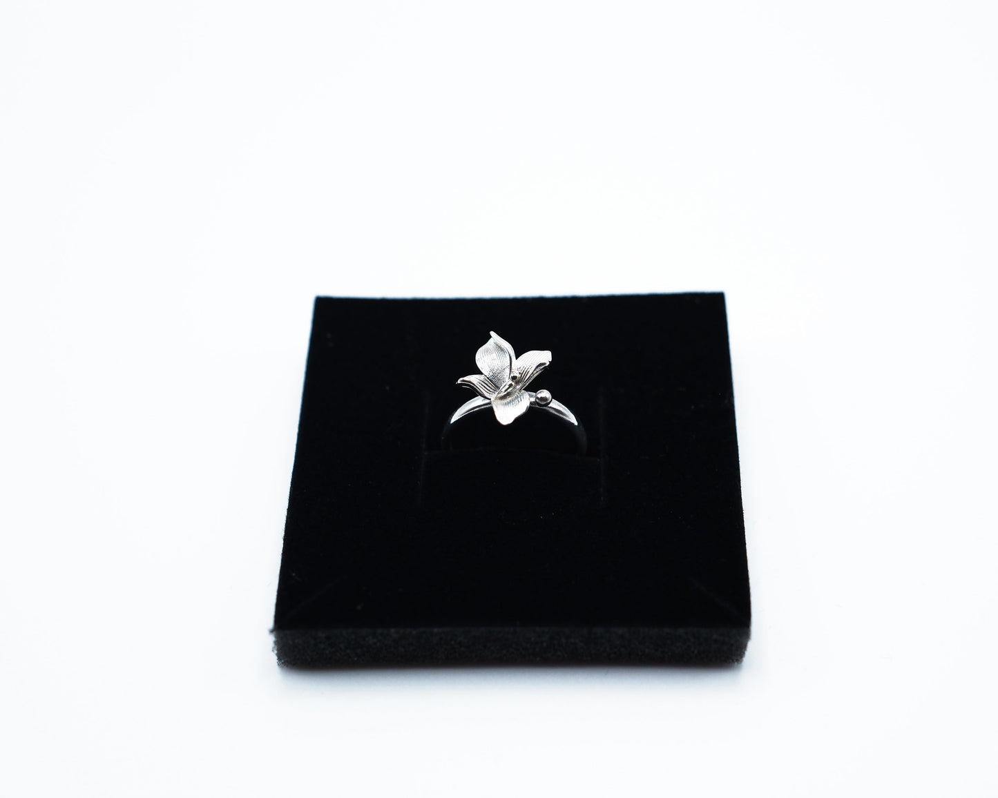 Caroline Ring